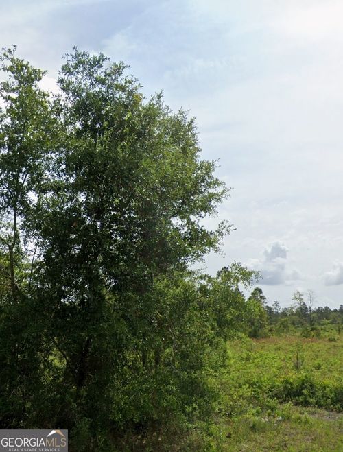 lot-1-0 (LOT 1) Dogwood Ln, Folkston, GA, 31537 | Card Image
