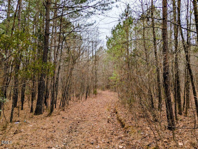 Land in Franklinton 2