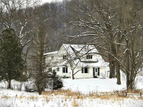 47298 Honey Farm Rd, GAYS MILLS, WI, 54631-6250 | Card Image