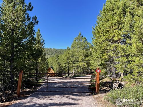 125 Penobscot Ct, Red Feather Lakes, CO, 80545-8305 | Card Image