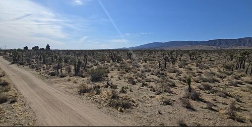22000 E Avenue X, Llano, CA, 93544 | Card Image