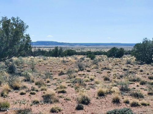 Lot 222 Woodridge Ranch, Concho, AZ, 85924 | Card Image