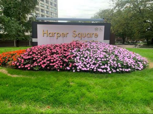 2111-4850 S Lake Park Ave, Chicago, IL, 60615-2074 | Card Image