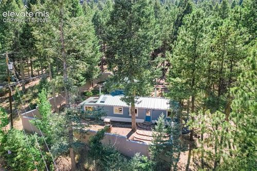 196 Summer Haven Drive, Woodland Park, CO, 80863 | Card Image