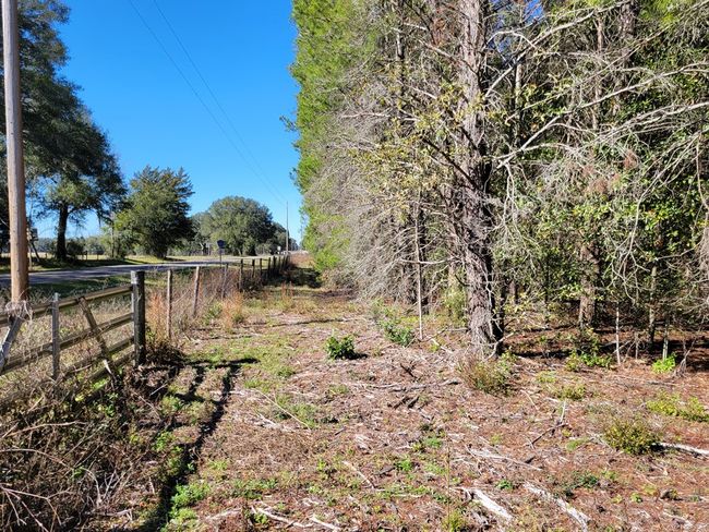 7818 Nw State Rd 45, Home with 0 bedrooms, 0 bathrooms and null parking in HIGH SPRINGS FL | Image 11