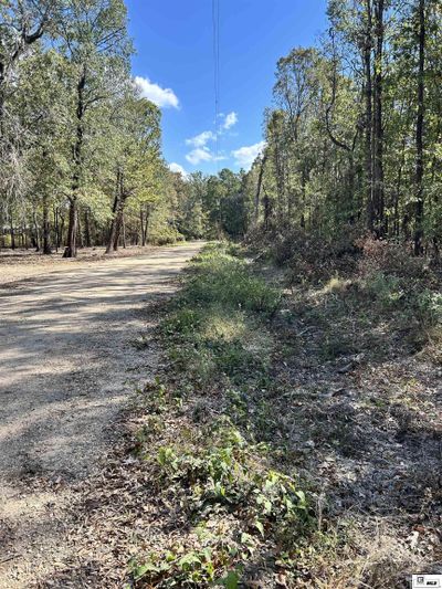 000 School Board Road, Home with 0 bedrooms, 0 bathrooms and null parking in Marion LA | Image 2