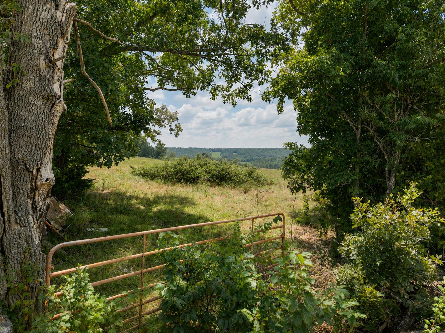 Land in Hartville 2
