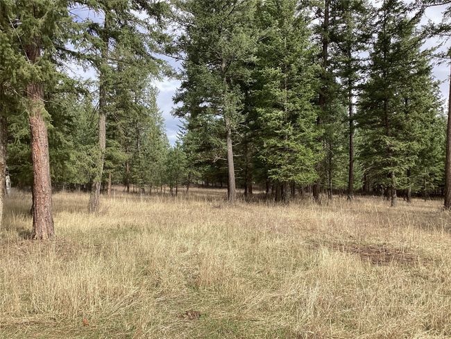 1 Eagle Pass Road, Home with 0 bedrooms, 0 bathrooms and null parking in Charlo MT | Image 21