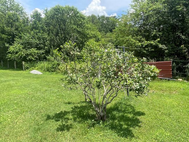 545 Barton Ln, Home with 0 bedrooms, 0 bathrooms and null parking in Sugar Grove VA | Image 15