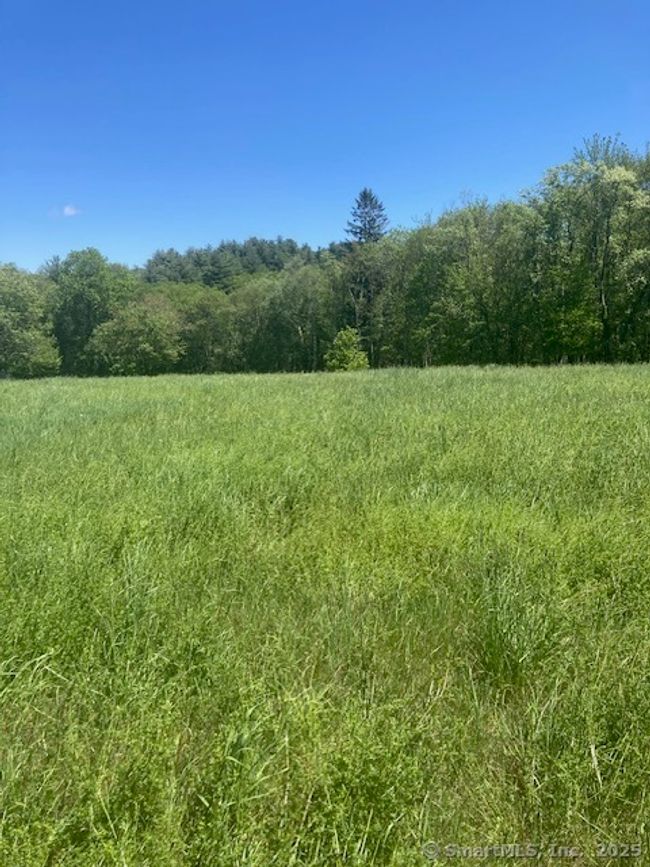 108 Burgess Rd, Home with 0 bedrooms, 0 bathrooms and null parking in Morris CT | Image 5