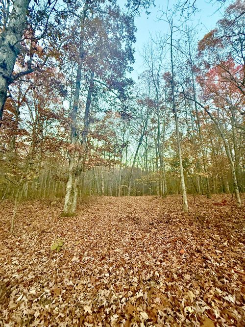 0 Quintard Rd, Sewanee, TN, 37375 | Card Image