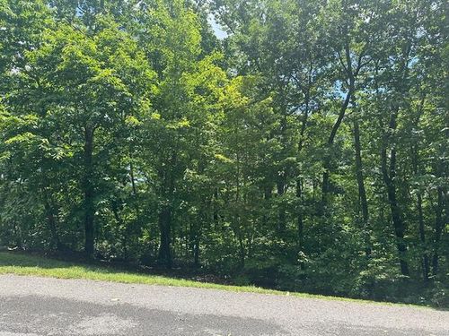 0 Old Rockey Trl, Rising Fawn, GA, 30738 | Card Image