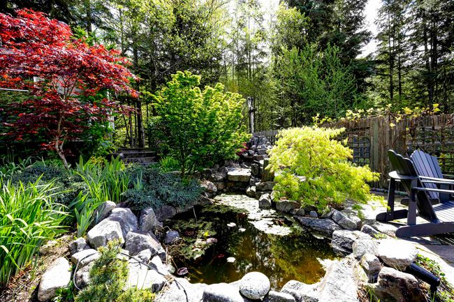 View of yard with pond | Image 30