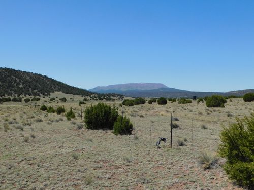 70 ACRES South Coyote Trail, Quemado, NM, 87829 | Card Image
