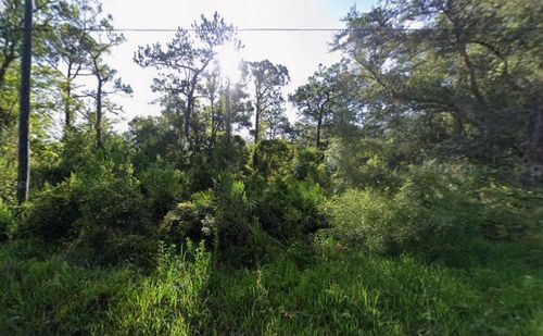 Tbd Atlee Street, New Port Richey, FL, 34654 | Card Image