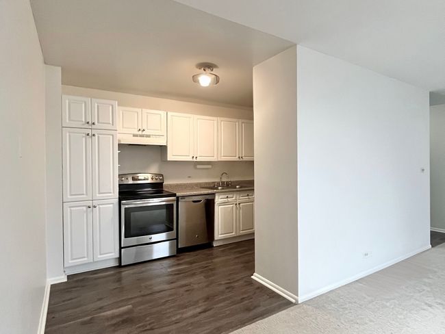 APT-1230 - 4250 N Marine Dr, Condo with 1 bedrooms, 1 bathrooms and 1 parking in CHICAGO IL | Image 6