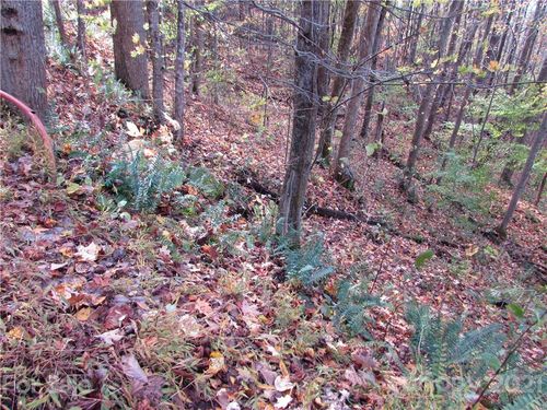 E- 15 Red Wolf Run, Mars Hill, NC, 28754 | Card Image