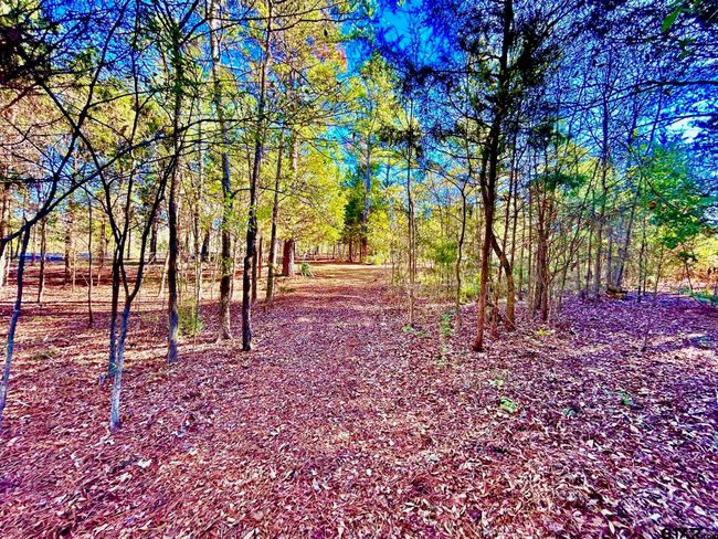 000 Grand View Dr, Home with 0 bedrooms, 0 bathrooms and null parking in Athens TX | Image 15