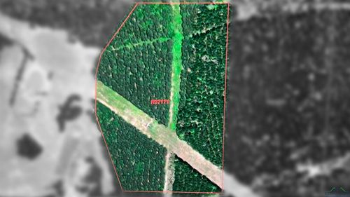 TBD Abst: 24 A Allbright V Und. 31.3, Harleton, TX, 75651 | Card Image