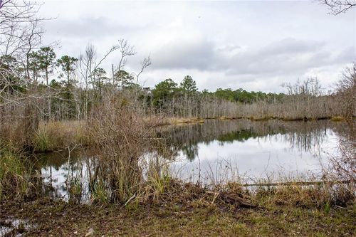0 Dauphin Island Pkwy, Coden, AL, 36523 | Card Image