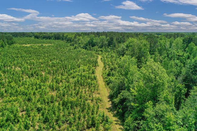 DJI_0428 | Image 35