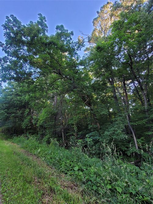000 Us Highway 12 Lot 4, Merrillan, WI, 54754 | Card Image