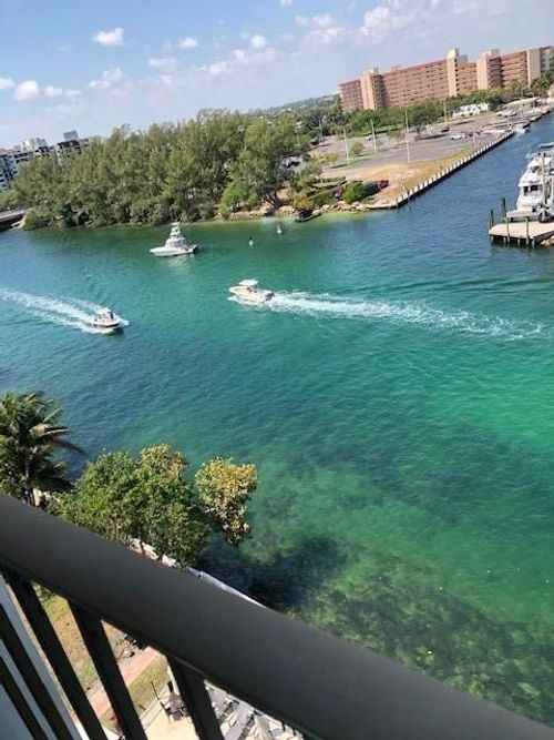 apt-902-1609 N Riverside Dr, Pompano Beach, FL, 33062-3328 | Card Image