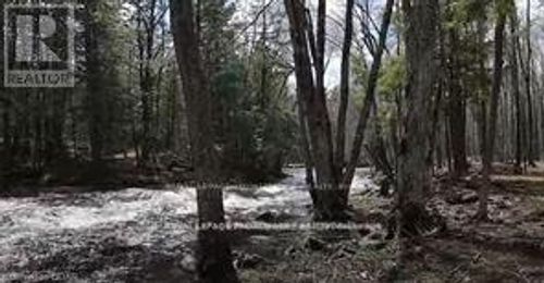 LOT 4 Future Lane S, Stirling-Rawdon (Rawdon Ward), ON, K0K2M0 | Card Image