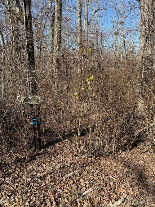 122 Hickory Hollow Road, Crossville, TN, 38572 | Card Image