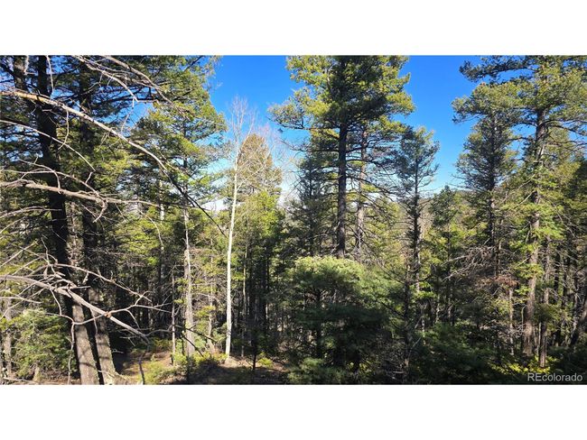 6034 Wood Rd, Home with 0 bedrooms, 0 bathrooms and null parking in San Luis CO | Image 5