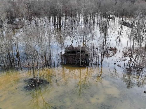 TBD Cr-271, Cash, AR, 72421 | Card Image