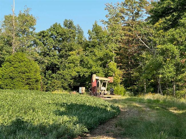 50 Hopewell Church Rd, Home with 3 bedrooms, 2 bathrooms and null parking in Fordsville KY | Image 16
