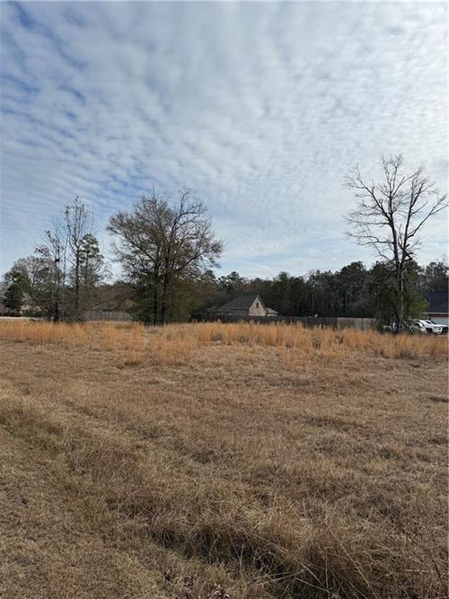 TBD Loranger Trce, Loranger, LA, 70446 | Card Image