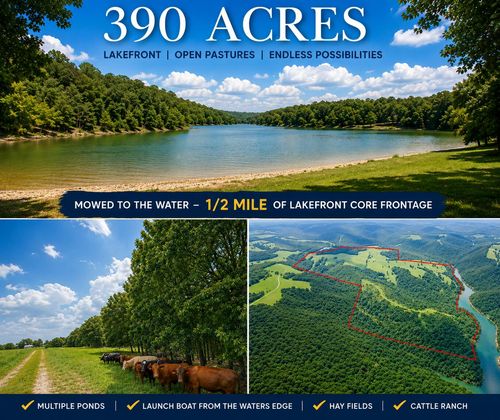 Tbd Dewdrop Rd, Blue Eye, MO, 65611 | Card Image