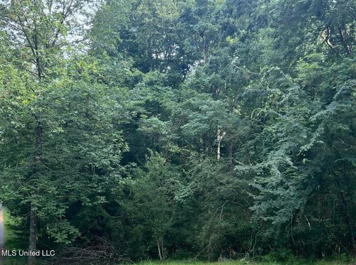 0 Highway 315, Sardis, MS, 38666 | Card Image