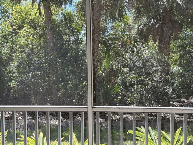 View from Lanai | Image 26