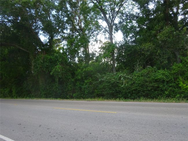 0 Calhoun Rd, Home with 0 bedrooms, 0 bathrooms and null parking in Conroe TX | Image 6