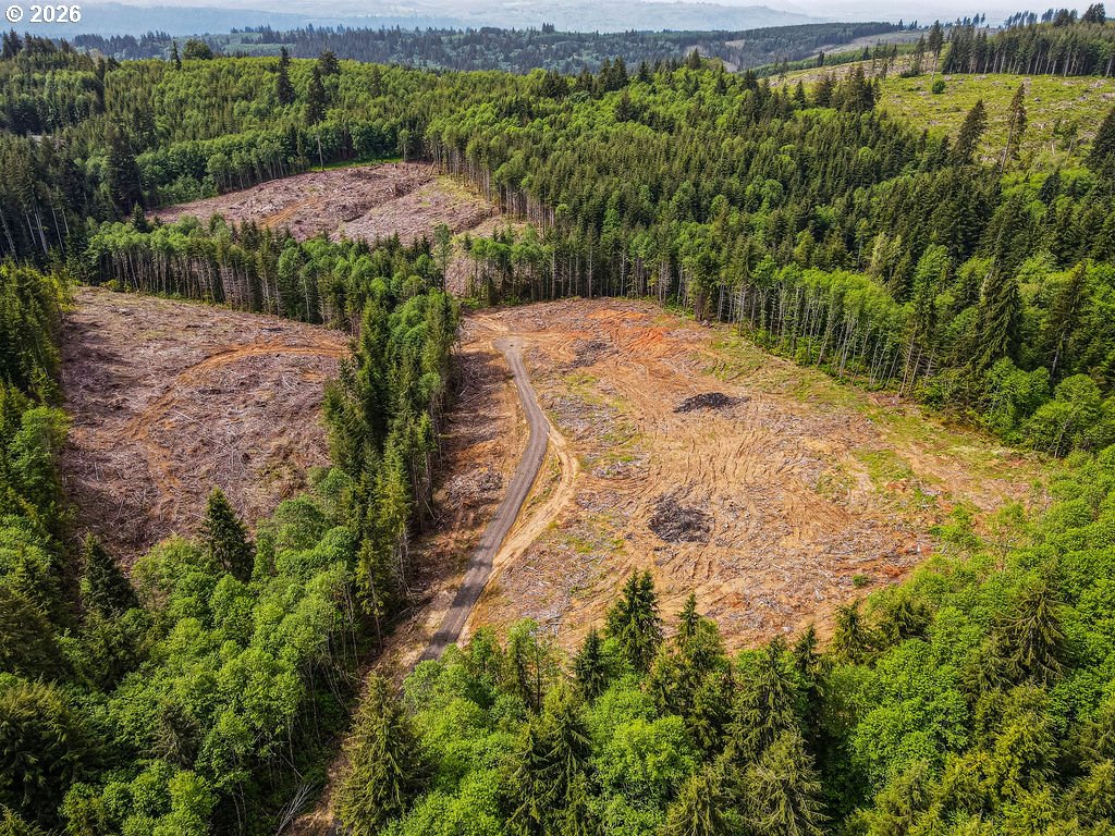 Land in Longview 3