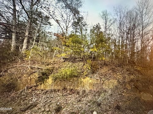 1059 Kellum Creek Rd, Sevierville, TN, 37876-1711 | Card Image