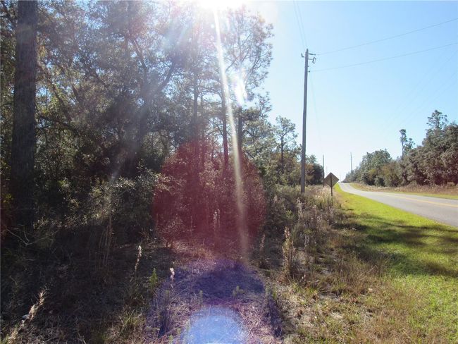 Elevated Wooded 1.03 Acre New Build Site On Paved Road Available Now..Don't Miss this One! | Image 2