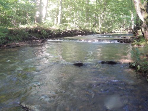3795 Wayland Springs Rd, Iron City, TN, 38463-7612 | Card Image