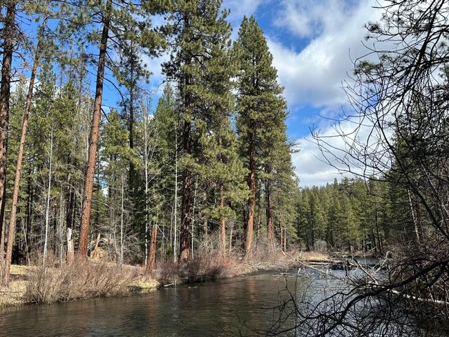 Downstream View | Image 26