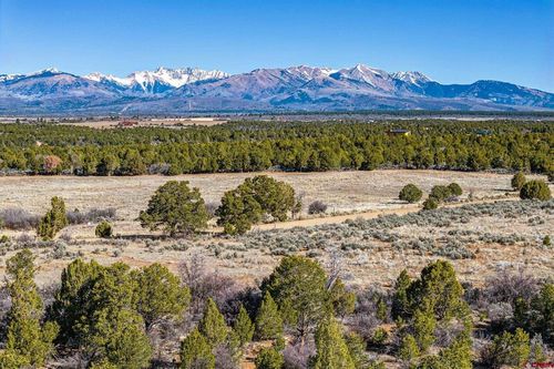 TBD County Road 136, Hesperus, CO, 81326 | Card Image