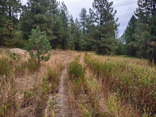 XX Little Sweden Rd, Valley, WA, 99181 | Card Image