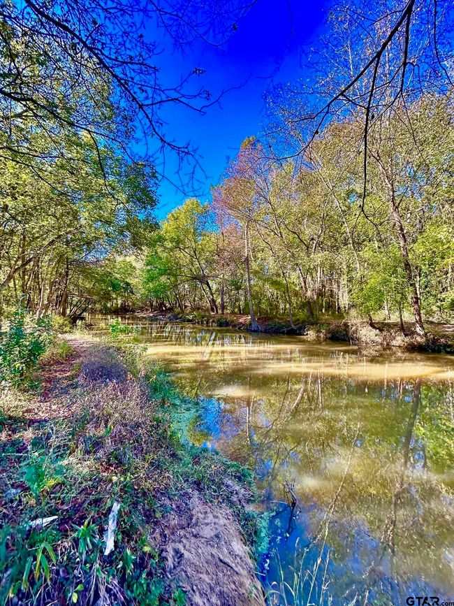000 Grand View Dr, Home with 0 bedrooms, 0 bathrooms and null parking in Athens TX | Image 4