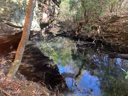 3 Lone Wolf Trail, Spencer, TN, 38585 | Card Image