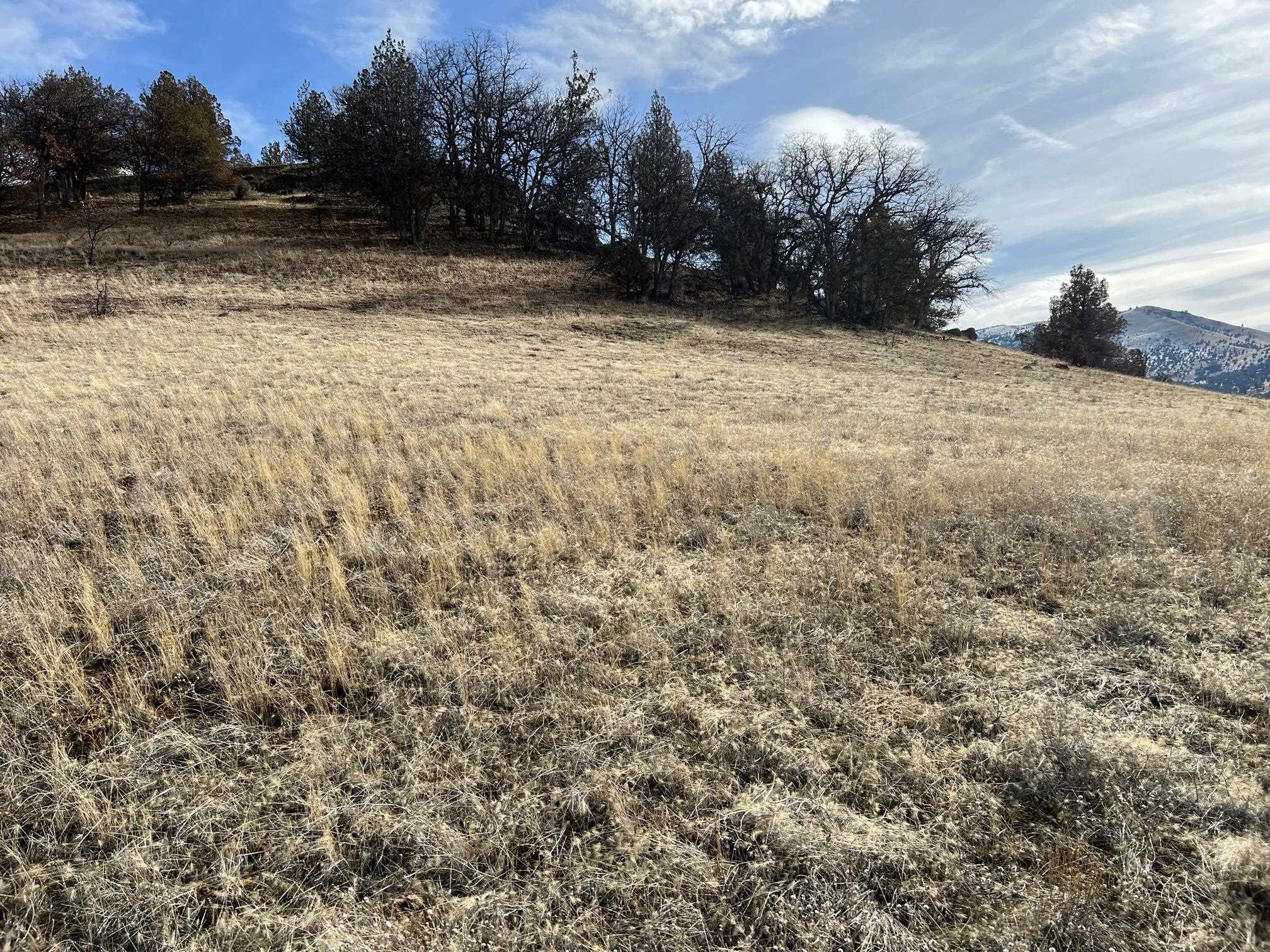 Land in Montague