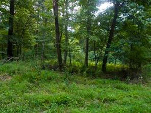 Lots 1&2 Brady'S Landing, Perry Twp, PA, 16041 | Card Image