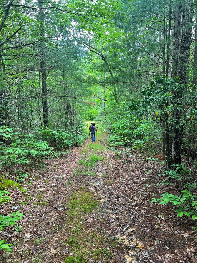 Tolley pic I | Image 32