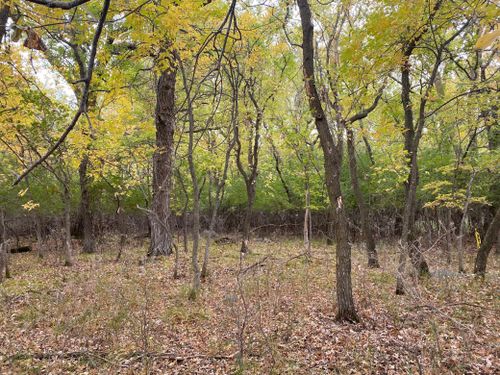 40 Lakota Island, Big Stone City, SD, 57216 | Card Image